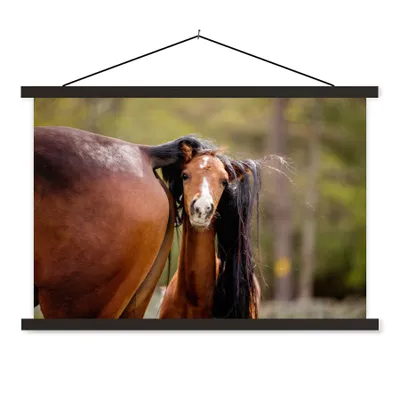 Produktbild von MuchoWow® Textilposter Pferde - Natur - Braun 90x60 cm mit schwarzem Rahmen - Aufhängungssatz