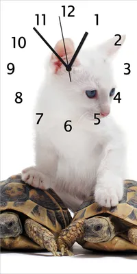 Produktbild von Wallario Design Wanduhr Katze auf Schildkröten aus Echtglas, Größe 30 x 60 cm