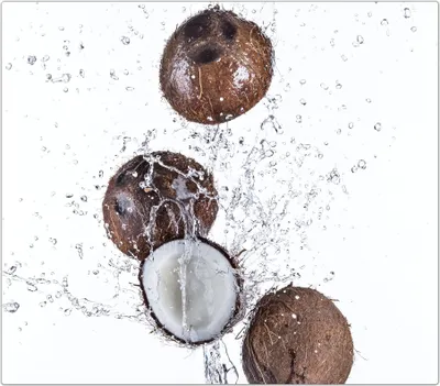 Produktbild von Spritzschutz Herdabdeckplatte Schneidebrett aus Glas Kokosnüsse im Wassersplash 1-Teilig (60x52cm)