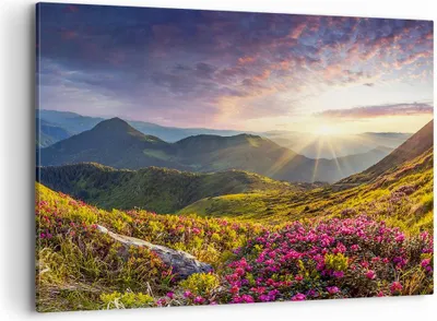 Produktbild von Bild auf Leinwand - Leinwandbild - Gebirge Wiese Landschaft Wald - 100x70cm - Wand Bild - Wanddeko - Leinwanddruck - Bilder - Kunstdruck - Wanddekoration - Leinwand bilder - Wandkunst - AA100x70-3152