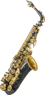 Obrázok produktu pre Victory TCCSA-01C Alto saxofón