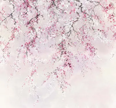 Image de Inx6-013 - Papier Peint Intissé Panoramique Kirschblüten Fleurs De Cerisier 300 X 280 Cm Inx6-013 - Papier Peint Intissé Panoram