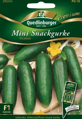 Produktbild von Quedlinburger Saatgut - Mini-Snackgurken Picolino - Samen - 290243