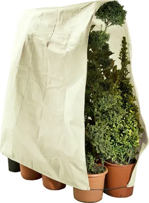 Image de Non-tissé de protection des plantes 240 x 200 cm