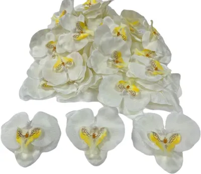 Obrázok produktu pre Plastové okvetné lístky orchideí, 50 kusov, 9 cm, na dekoráciu