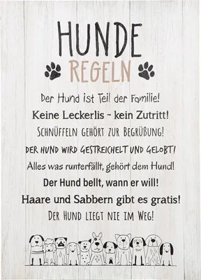 Obrázek produktu pro Gilde Schild, rechteckig, "Hundebande", Spruch, MDF, creme, VE 3, L. 1,5 cm, B. 36 cm, H. 50 cm