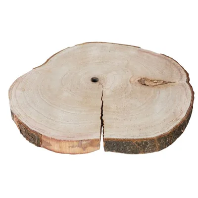 Produktbild von 31x3cm Baumstammscheibe Baumscheibe