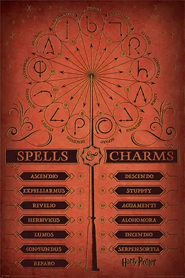 Image de Harry Potter - Poster - Sortilèges et Charmes + 1 Ü-Poster taille 61x91,5cm