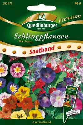 Artikelbild 1 von 'Schlingpflanzen Mischung' aus der Kategorie Blumensamen
