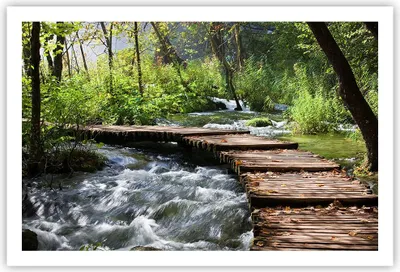 Produktbild von Poster - Poster ohne Rahmen - Park natur grün bäume - 91,5x61 cm - Wand Bild - Wanddeko - Wandbilder - Kunstposter - Wandposter - Bilder - Kunstdruck - Wanddekoration - Wandbild - P2XAA91x61-0356