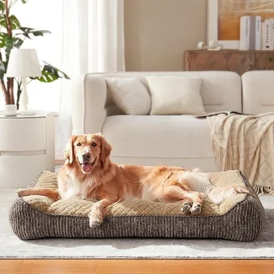 Image de Lit orthopédique pour chiens de grande taille, lavable avec housse imperméable