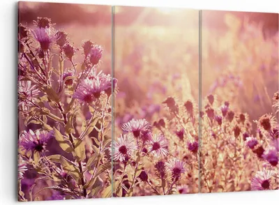 Produktbild von Bild auf Leinwand - Leinwandbild - 3 Teile - Wiese Blumen Sonne - 105x70cm - Wand Bild - Wanddeko - Wandbilder - Leinwanddruck - Bilder - Wanddekoration - Leinwand bilder - Wandbild - CE105x70-4819