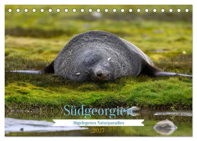 Produktbild von Südgeorgien - Abgelegenes Naturparadies (Tischkalender 2027 DIN A5 quer), CALVENDO Monatskalender