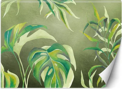 Produktbild von Vlies fototapete Monstera-Blätter 254x184 cm Feeby Braun inkl. Kleber einfache Montage