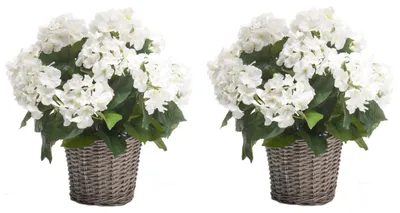 Produktbild von 2er Set künstliche Hortensien im Korb weiß H. 45cm D. 20cm Emerald Topfpflanze