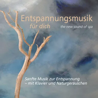 Produktbild von Various: Sanfte Musik zur Entspannung - mit Klavier und Naturgeräuschen