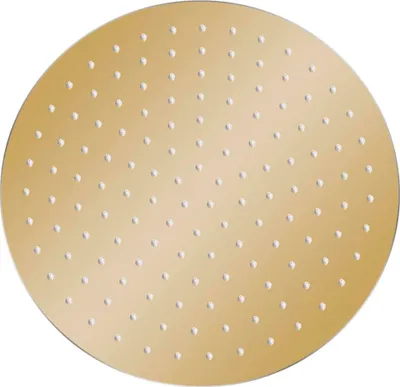 Obrázek produktu pro vidaXL Dešťová sprcha z nerezové oceli 30 cm kulatá zlatá