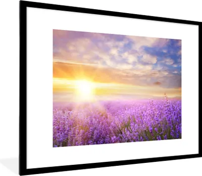 Produktbild von MuchoWow® Gerahmtes Poster Lavendel - Sonne - Himmel - Natur 80x60 cm - Poster mit Schwarzem Bilderrahmen Wandposter Rahmen Foto Bilder - Schlafzimmer-Dekorationen - Fotoposter