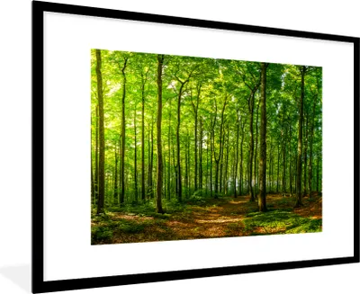 Produktbild von MuchoWow® MuchoWow® Gerahmtes Poster Wald - Baum - Pflanzen 90x60 cm - Poster mit zchwarzem Bilderrahmen - Wanddekoration - Fotos