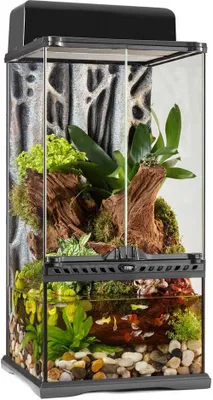 A terrarium with plants and water.