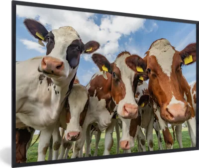 Produktbild von MuchoWow® Gerahmtes Poster Kühe - Tiere - Weide - Natur 90x60 cm - Poster mit Schwarzem Bilderrahmen Wandposter Rahmen Foto Bilder - Fotorahmen - Foto-Plakat