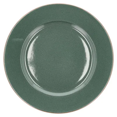 A top-down view of a green plate.