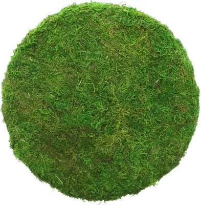 Produktbild von Dekoplatte Moos, Naturmoos auf Styropor, Ø 32 x 7 cm