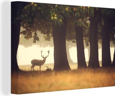 Produktbild von OneMillionCanvasses® - Leinwandbilder - 150x100 cm, Hirsche - Bäume - Wald, Wandbilder Kunstdruck Wanddekoration