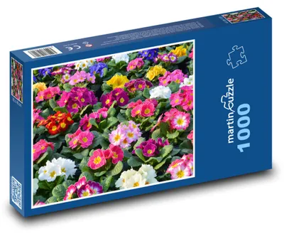 Produktbild von Puzzle 1000 Bunte Primelblumen - martinpuzzle