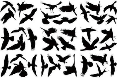 Produktbild von 36 schwarze Vogelaufkleber für Glasfenster zur Vermeidung von Vogelkollisionen, Warnaufkleber und abnehmbare Aufkleber gegen statische Elektrizität