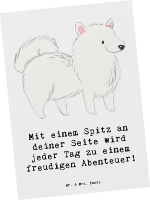 Produktbild von Mr. & Mrs. Panda Grußkarte Freudiger Spitz - Weiß - Geschenk, Ansichtskarte, Spaziergänge, Postkarte, treuer Begleiter, Hunde, Postkarten, Hunderassen Pflege, Fotokarte