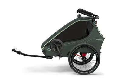 Zdjęcie produktu dla Qeridoo Kidgoo 2 – przyczepka rowerowa dla 2 dzieci, kolor: Forest Green, Obraz wygenerowany przez AI