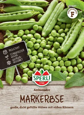 Artikelbild 2 von 'Markerbse Ambassador' aus der Kategorie Markerbsensamen