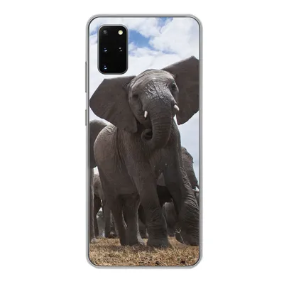 Produktbild von MuchoWow® Handyhülle Schutzhülle Hülle für Samsung Galaxy S20 Plus Elefant - Tiere - Natur - Flachland Silikon Softcase Handy Hülle - Hartschale