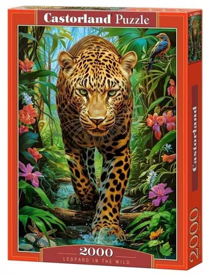 Obrázok produktu pre Puzzle 2000 Leopard in the Wild C-200955-2