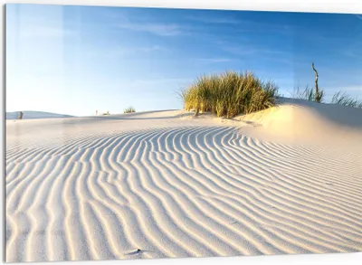 Produktbild von DEQORI Küchenrückwand Glas 60x40 cm 'Sanddüne Ostseeküste' Spritzschutz Bad Rückwand