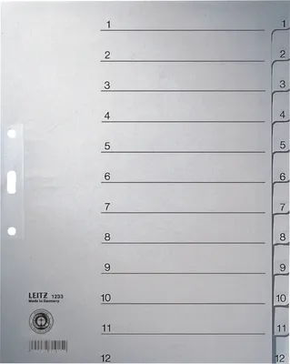 Produktbild von Leitz Zahlenregister - DIN A4+ - 1-12 - Tauenpapier - grau - 12 Blatt