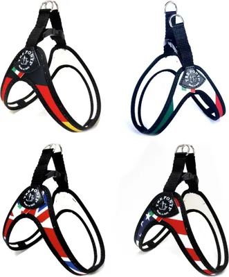 Produktbild von Tre Ponti Geschirr Easy Fit Nations mit Click-Verschluss, Größe:Gr.1 / 25-30cm / bis 3kg, Farbe:U.K.