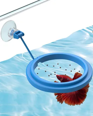 Produktbild von Futterring Für Aquarium Mit Saugnapf, 5,7 cm Innendurchmesser, Rund Für Betta, Guppy Und Goldfisch