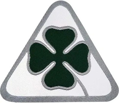 Immagine prodotto di Targhetta adesiva ufficiale Alfa Romeo Quadrifoglio Verde, 75 mm