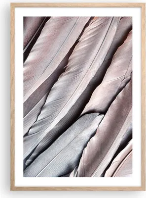 Produktbild von Gerahmtes Poster - Rahmen in heller Eiche - Federn Flügel Feder - 50x70 cm - Wand Bild - Wanddeko - Wandbilder - Kunstposter - Wandposter - Bilderrahmen - Bilder - Kunstdruck - P2NPA50x70-5114
