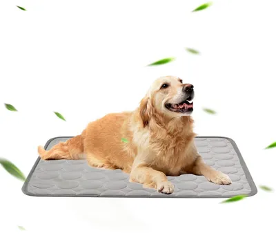 Immagine prodotto di Tappetino refrigerante per cani, taglia XL, 100x70 cm, auto-raffreddante, lavabile, colore grigio