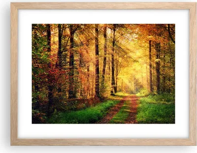 Produktbild von Gerahmtes Poster - Rahmen in heller Eiche - Wald Baum Natur - 40x30 cm - Wand Bild - Wanddeko - Wandbilder - Kunstposter - Wandposter - Bilderrahmen - Bilder - Kunstdruck - Wandbild - P2NAA40x30-3718