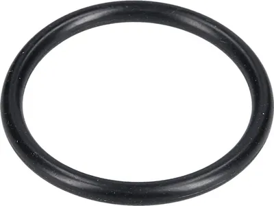 Produktbild von easyPART passend für MS0698568 KRUPS MS-0698568 Dichtung Dichtring O-Ring Gummiring 43mmØ Schwarz Brühkolben z.T. EA69 EA8 XP7 ESPRESSO AUTOMATIC Kaffeemaschine Kaffeeautomat auch