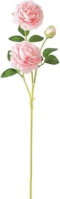 Produktbild von Zweige, 2 große Köpfe, 1 kleine Knospe, künstliche Pfingstrose, realistische grüne Blätter, nicht verwelkt, Tischdekoration, künstliche Blume, Hochzeitsdeko
