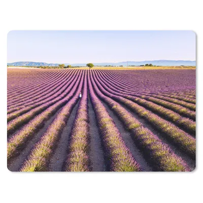 Produktbild von MuchoWow® Mauspad Mousepad Lavendelfelder in der Provence in Frankreich 40x30 cm - Mousepads - Maus Mat - Pad - Mausunterlage - Anti Rutsch