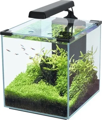 Produktbild von Aquarium aquatlantis Nano Cubic 30 mit Frostglasrückseite, LED-Beleuchtung, Filter, Heizer, Pumpe schwarz (ohne Schrank)