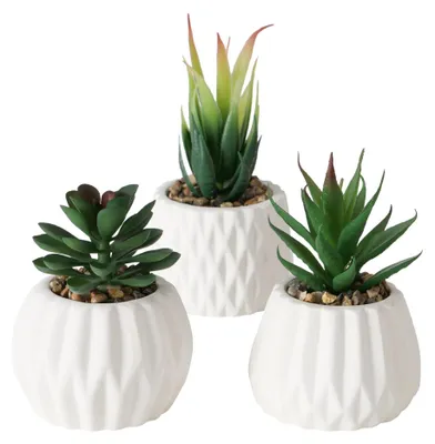 Produktbild von Boltze Home Künstliche Pflanzenfettpflanze in Topf Weiß H15cm