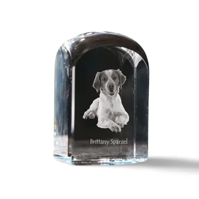 Image de Espagnol breton - cube en cristal avec photo, photo de chien dans le cristal, bouton cubique sur papier de la marque Art-Dog