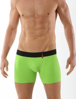 Produktbild von ALBERT KREUZ Retro Shorts Boxershorts Mikrofaser Grün, 08/XXL